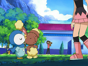 DP017 - Psykokwak et Teddiursa d'un Dresseur.png