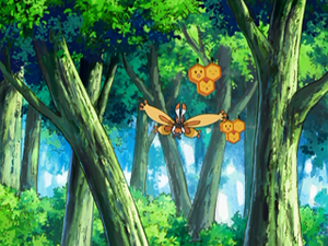 DP099 - Papilord et Apitrini.png