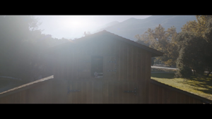 Film Détective Pikachu - Furaiglon Sauvage.png