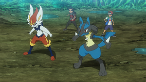 LV046 - Pyrobut de Goh et Lucario de Sacha.png