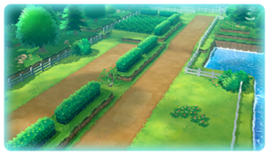 Route 14 (Kanto) LGPE.png