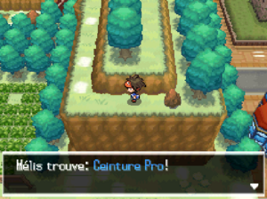 Route 19 (Unys) - Ceinture Pro-N2B2.png