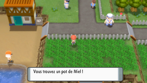 Route 222 Miel 2 DEPS.png