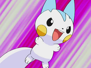 DP024 - Pachirisu d'Aurore.png