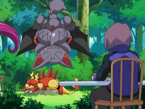 DP100 - Magmar et Scorvol de Paul.png