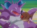 Nidoking (d'un Dresseur)