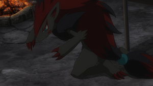 LV111 - Zoroark de Gladio.png