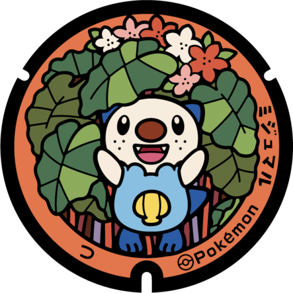 Fichier:Poké Lid 240 Tsu.png