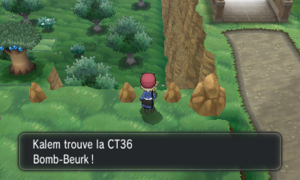 Route 19 CT36 XY.png