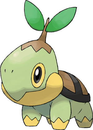 Tortipouss-DP.png