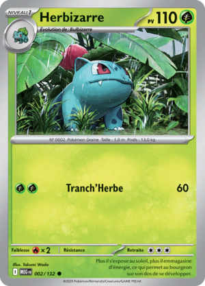 Carte Méga-Évolution 002.png