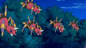 DP122 - Migalos.png