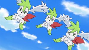 DP168- Shaymin.png