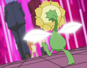 Héliatronc Coupe.png