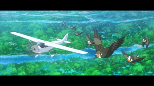 LH001 - Étourmi et Étourvol.png