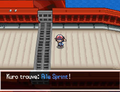 Les Ailes permettent de faire progresser ses propres Pokémon.