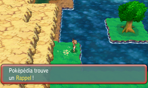 Route 114 Rappel ROSA.png