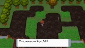 Route 212 Super Ball 2 DEPS.png