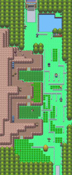 Pokemon Sauvages 246px-Route_214_DP