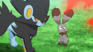 XY076 - Luxray et Sapereau de Lem.png