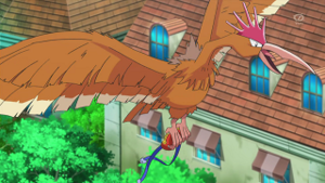 XY084 - Rapasdepic.png