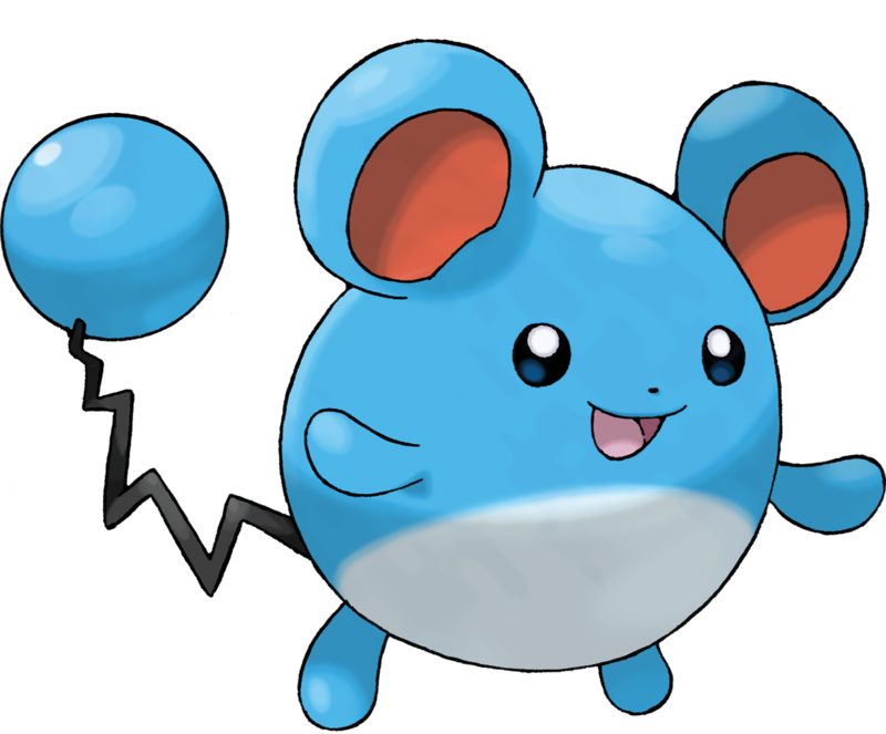 Marill — Poképédia