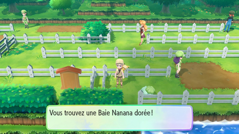 Fichier:Route 13 Baie Nanana dorée LGPE.png