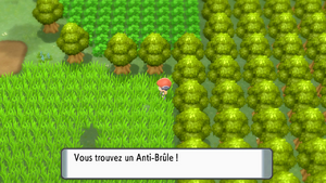 Route 210 Anti-Brûle DEPS.png