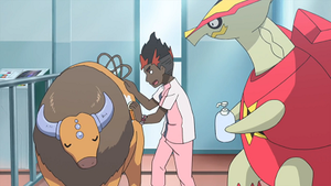 SL068 - Tauros d'un Dresseur.png