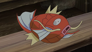 SL121 - Magicarpe.png