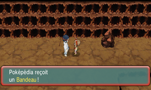 Grotte Tréfonds Bandeau ROSA.png