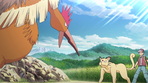 Rapasdepic de Red.png
