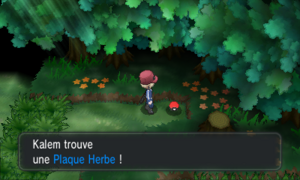 Route 20 Plaque Herbe XY.png