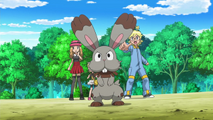 XY008 - Sapereau de Lem.png