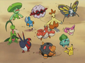 Bulbizarre (de Flora), Pikachu (de Sacha), Foretress (de Pierre), Massko (de Sacha), Galifeu (de Flora), Gobou (de Pierre), Charmillon (de Flora), Lombre (de Pierre), Hélédelle (de Sacha), Skitty (de Flora), Chartor (de Sacha) et Écrapince (de Sacha)