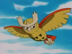 EP163 - Noarfang de Sacha.png