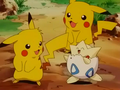 Pikachu (de Sacha), Sparky (de Richie) et Togepi (d'Ondine)