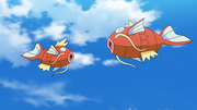 Magicarpe(de Magicarpentier)