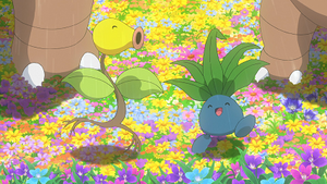 LV066 - Chétiflor et Mystherbe de Goh.png