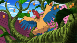NB036 - Aéroptéryx.png