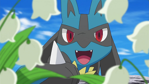 XY034 - Lucario de Cornélia.png