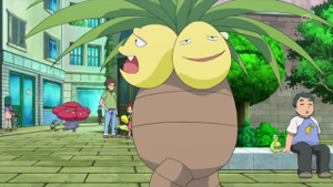 XY057 - Noadkoko d'un Dresseur.png