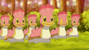 DP136 - Sancoki.png