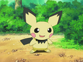 Pichu (de Sho)