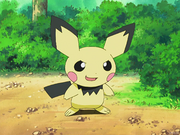 Pichu(de Sho)