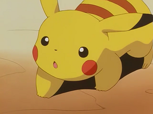 EP227 - Pikachu de Sacha.png