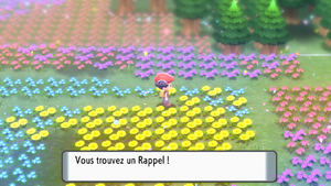 Pré de Floraville Rappel 2 DEPS.png