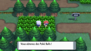 Route 202 Poké Ball DEPS.png