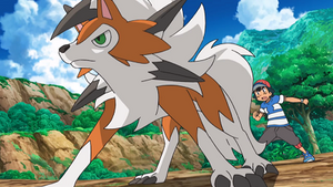 SL047 - Lougaroc de Sacha.png