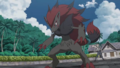 Zoroark (de Mohn)